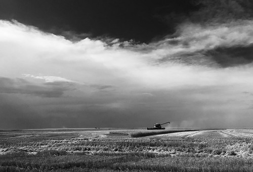 I love western Kansas skies.