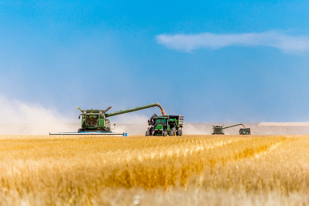 HPH-2016-Brush Monday (Laura)-7