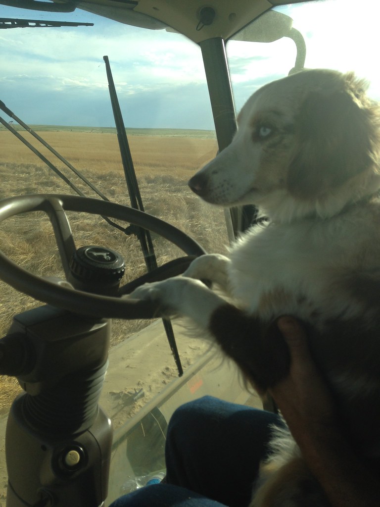 HPH-2016-Colorado (Mark)