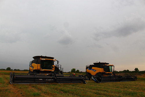 Done for the day, thanks clouds.