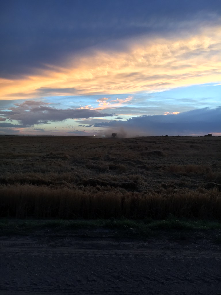 HPH - 2016 - Scott City, Kansas (Henry)