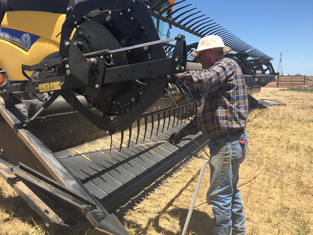 Z Crew: because it's what harvesters do.