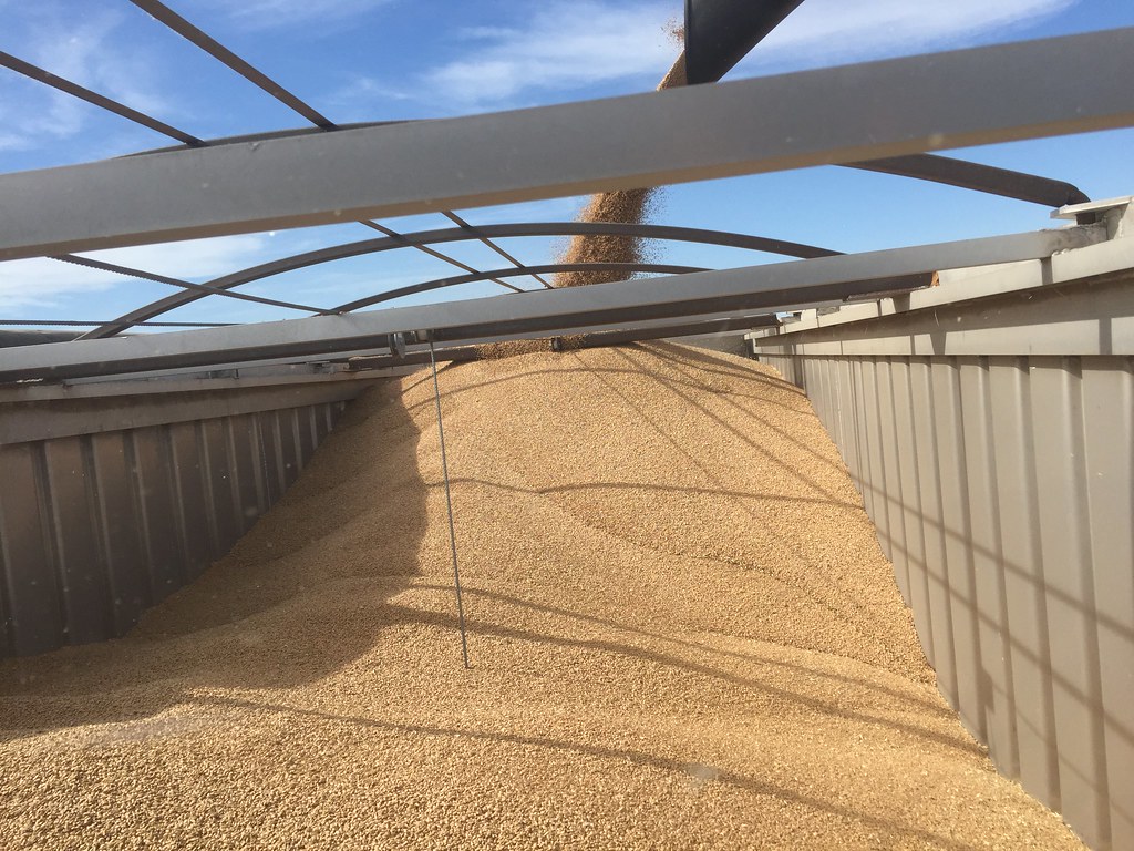 Z Crew: Because it's what harvesters do!