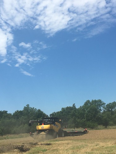 A little mud bogging.