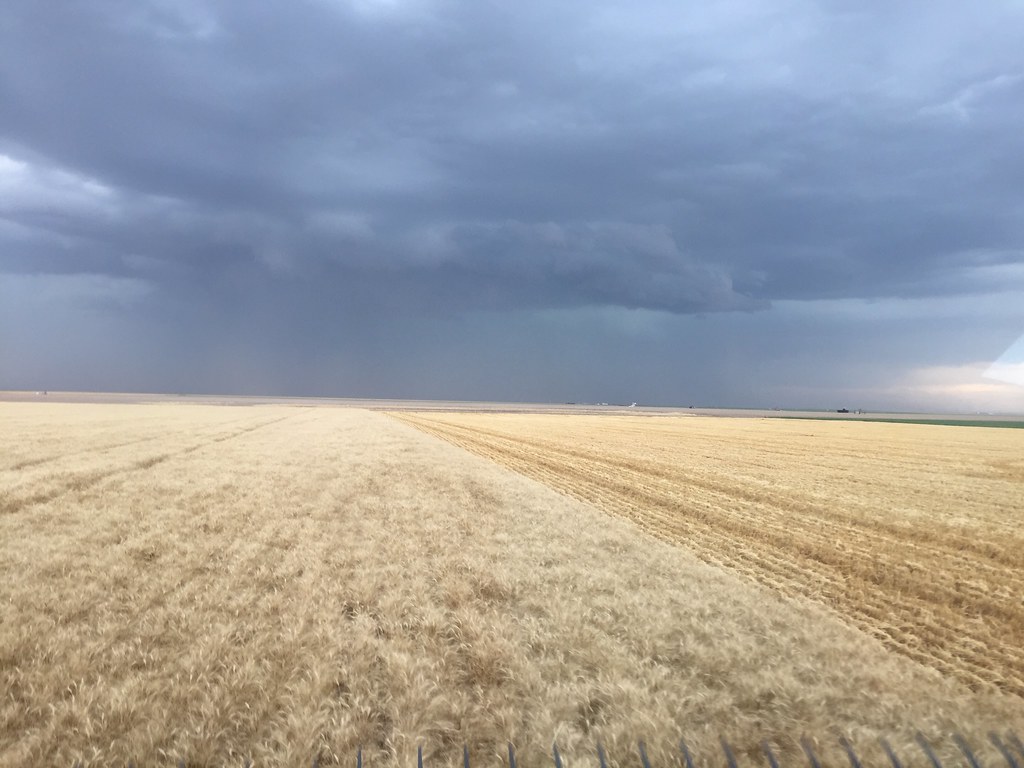 Z Crew: It's what harvesters do.