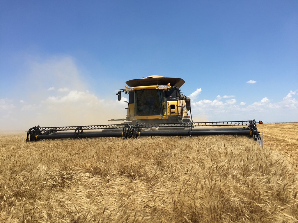 Z Crew: It's what harvesters do.