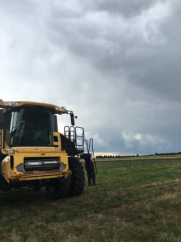 Loading up before the rain comes!