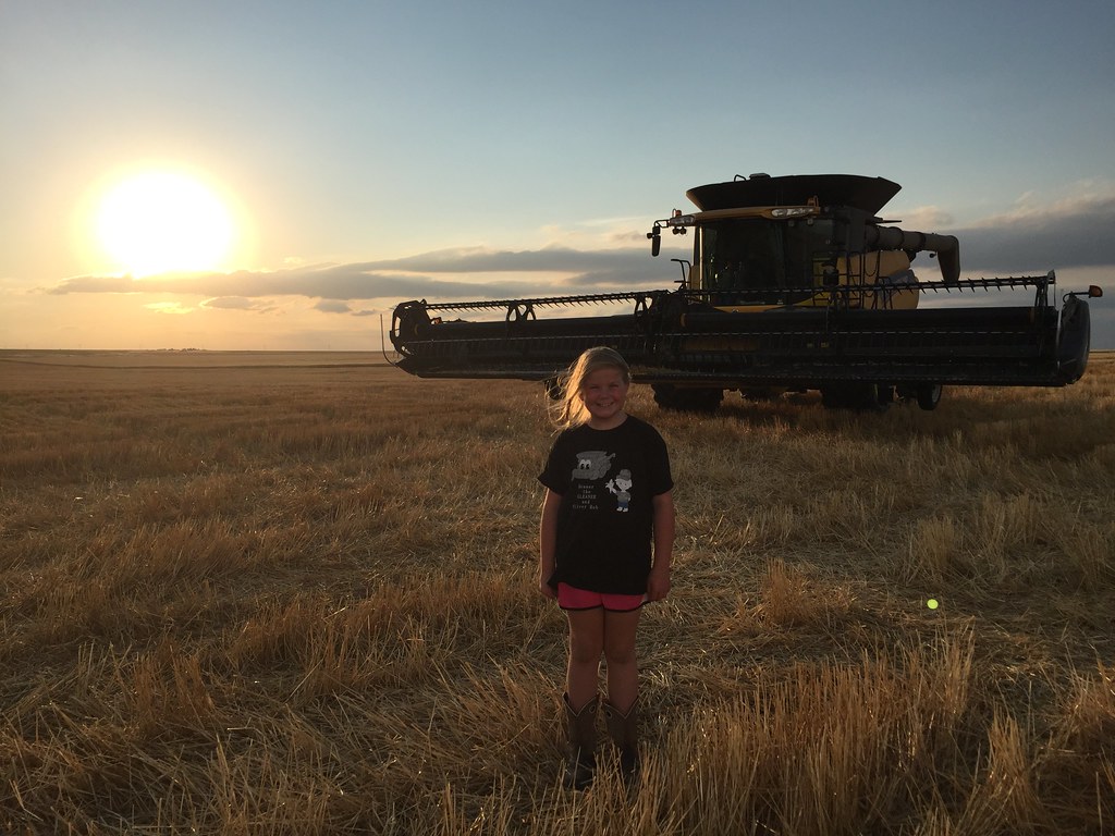 Z Crew: Because it's what harvesters do.