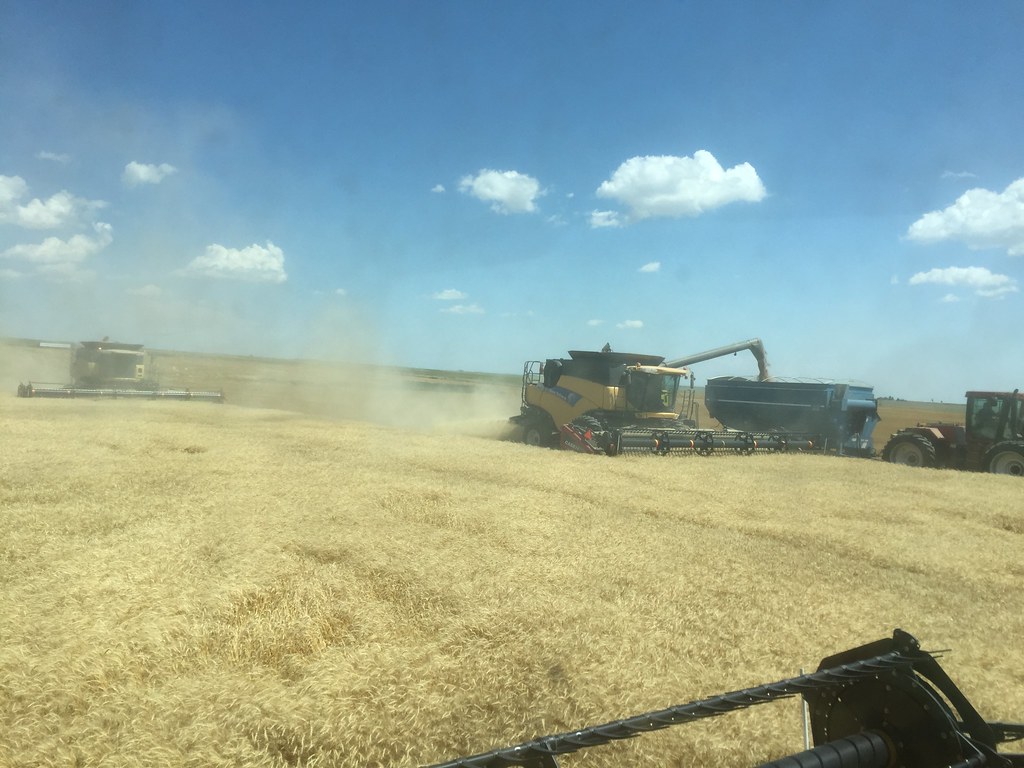 Z Crew: Because it's what harvesters do.