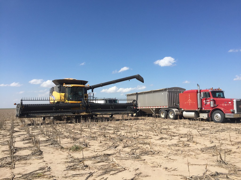 Z Crew: It's what harvesters do.