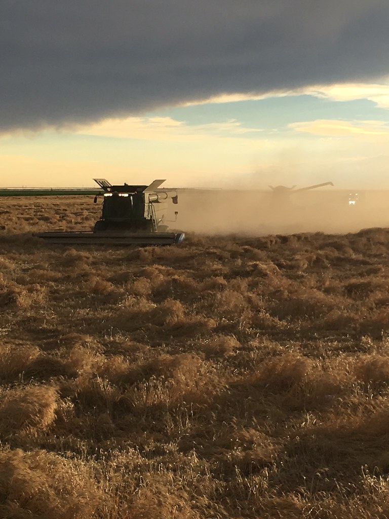 HPH - 2016 - Scott City, Kansas (Henry)