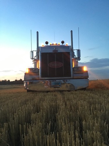 Maverick giving us a smile.