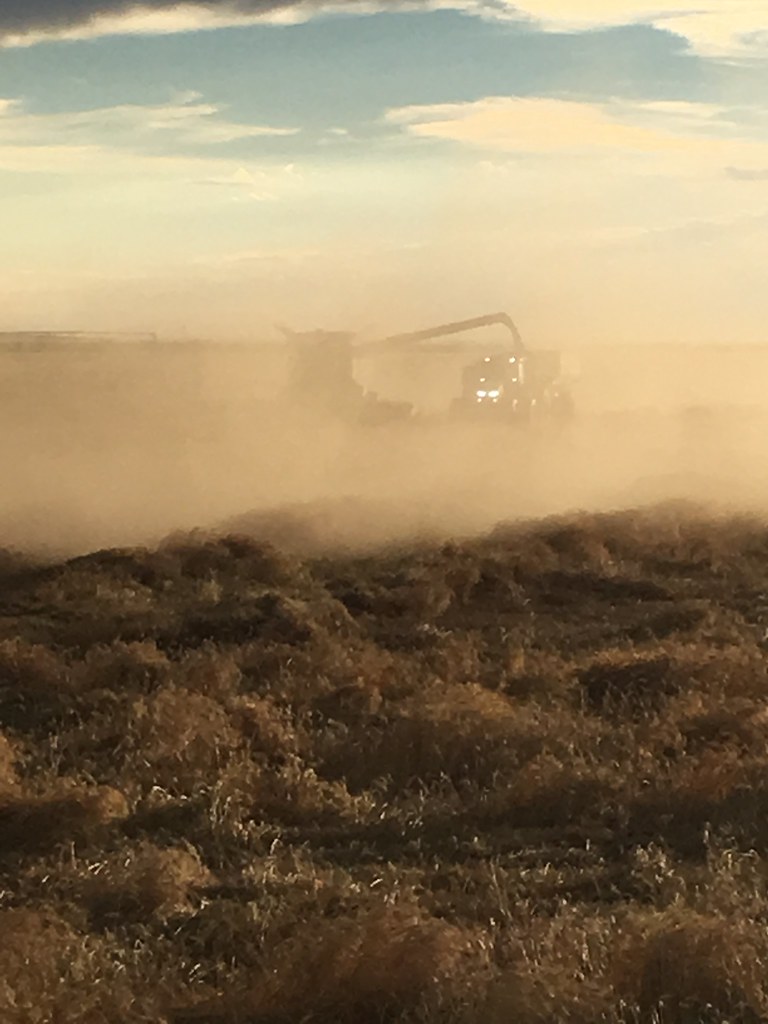 HPH - 2016 - Scott City, Kansas (Henry)