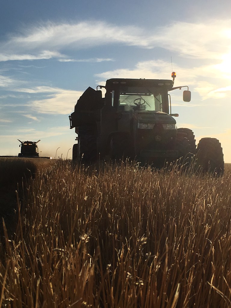 HPH - 2016 - Scott City, Kansas (Henry)