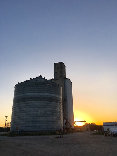 Sunrise on the Equity.