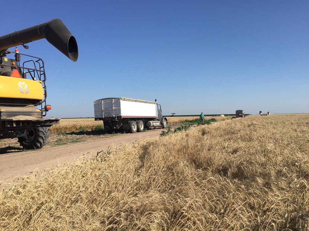 Z Crew: Because it's what harvesters do.