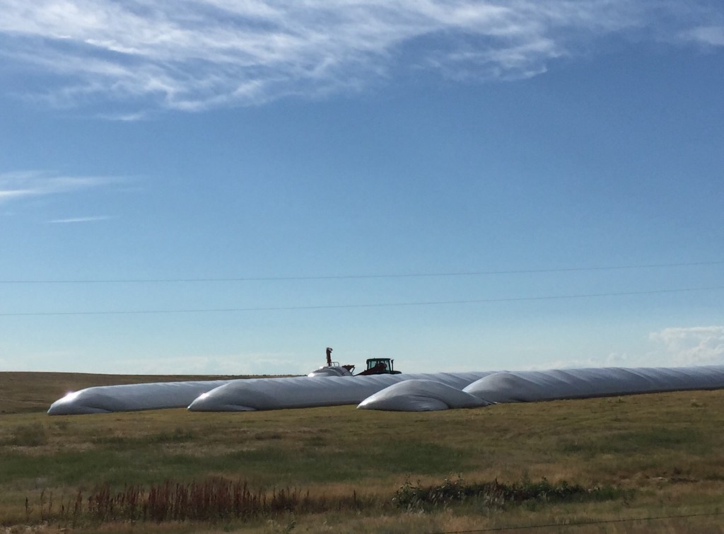 Z Crew: Because it's what harvesters do.