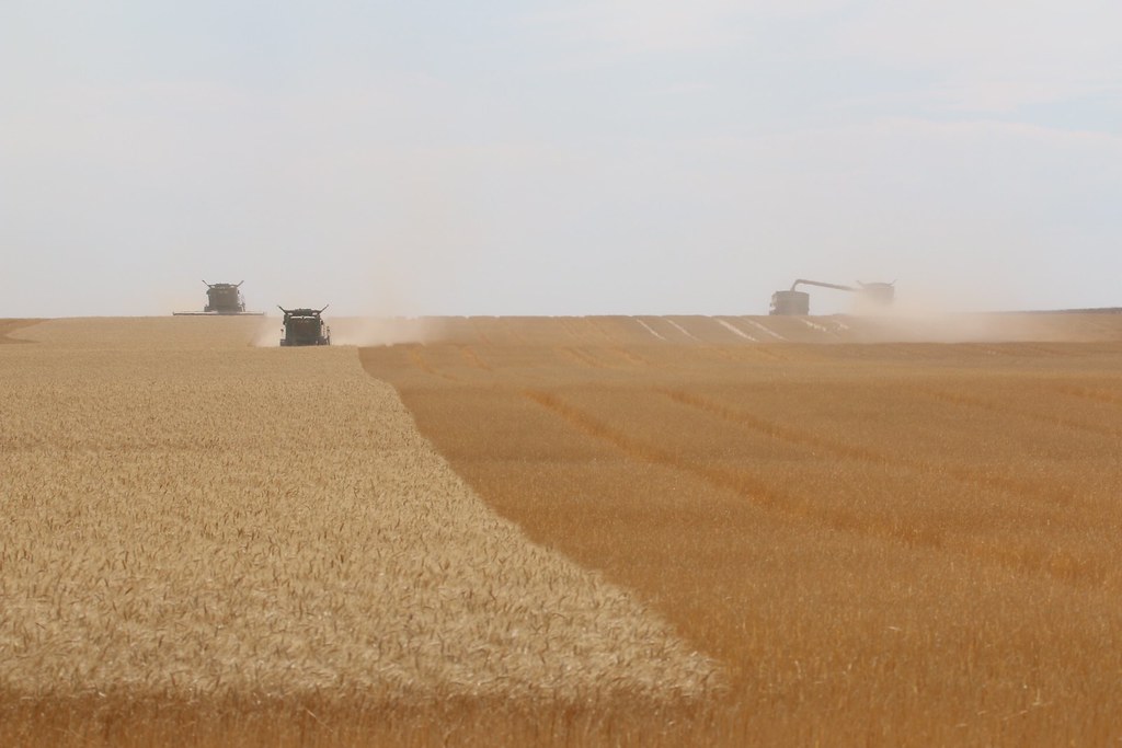 HPH-2016-Morgan County, Colorado