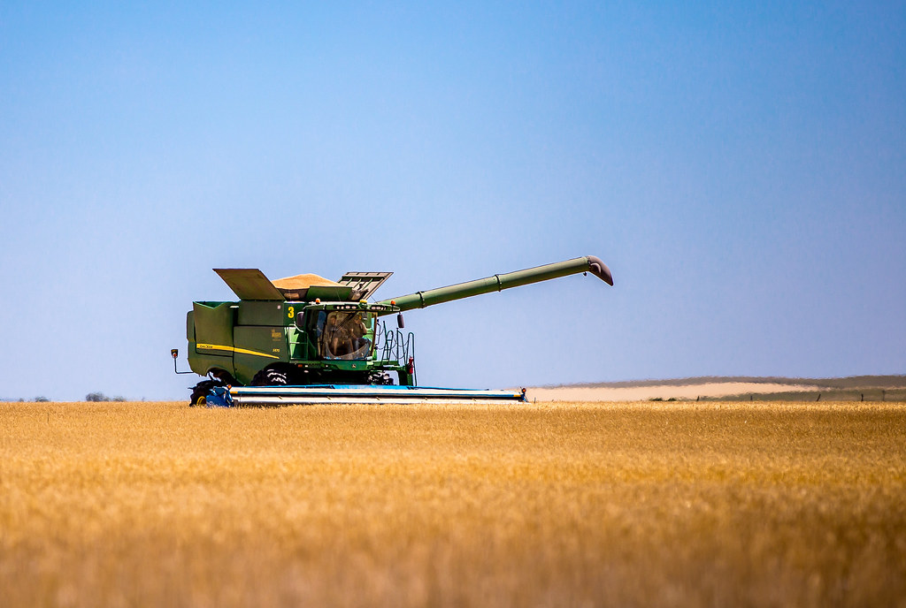 HPH-2016-Brush Monday (Laura)-3