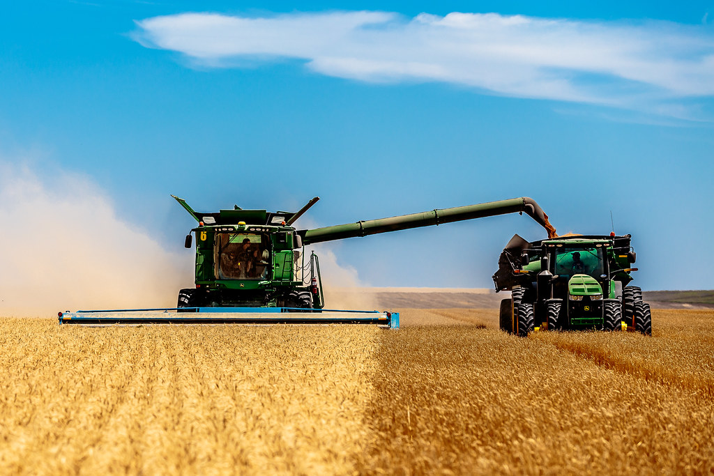 HPH-2016-Brush Monday (Laura)-2