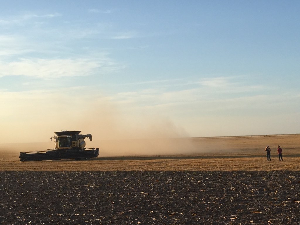 Z Crew: Because it's what harvesters do!