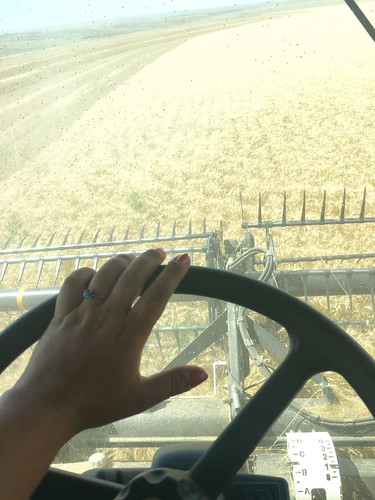 Making a few rounds!