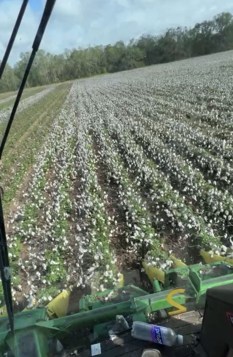 All Aboard Harvest