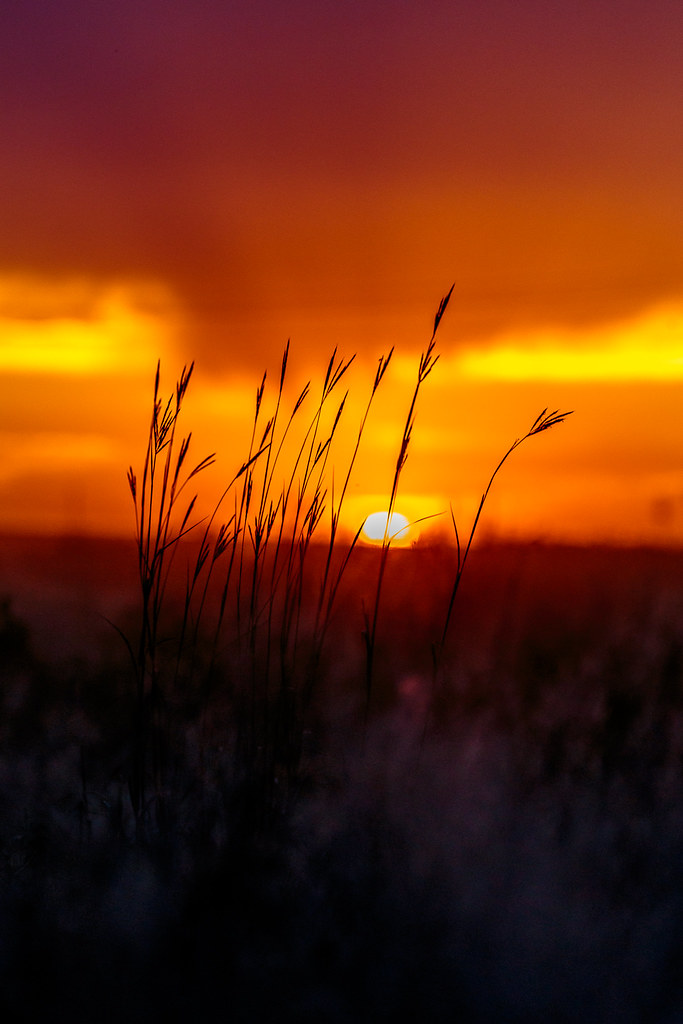 HPH-2016-Sharon Springs 1st Supper (Laura)-10