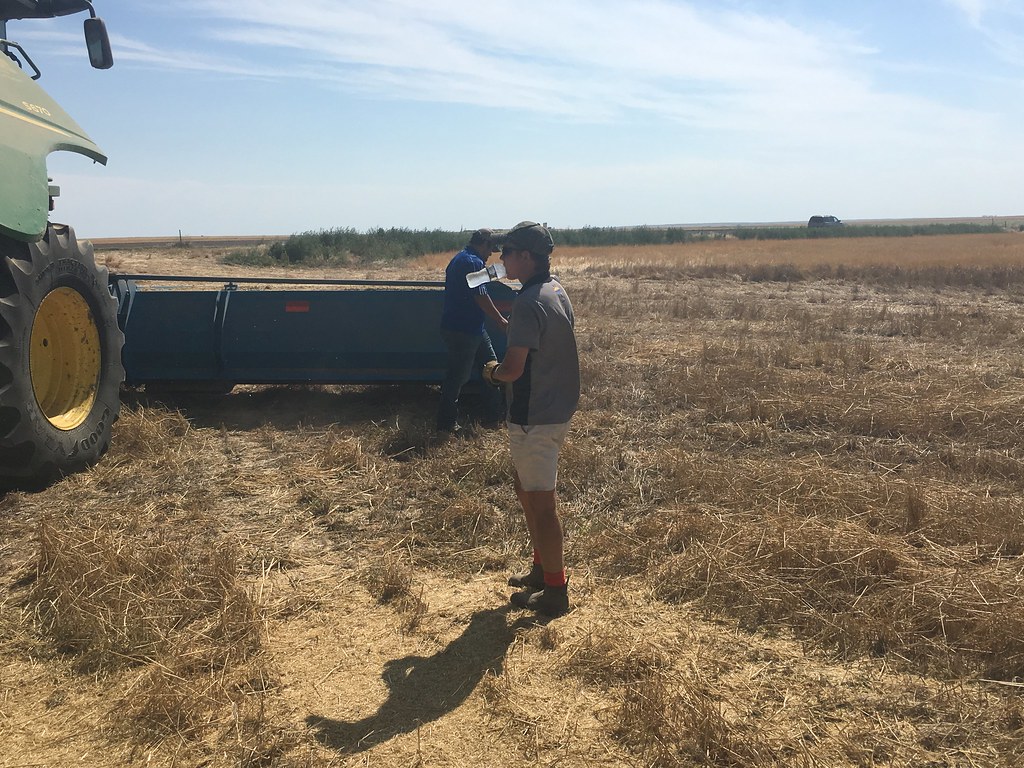 HPH-2016-Stoneham, CO (Mark)