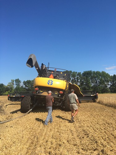 Peter and Farmer Lee checking out the damage.