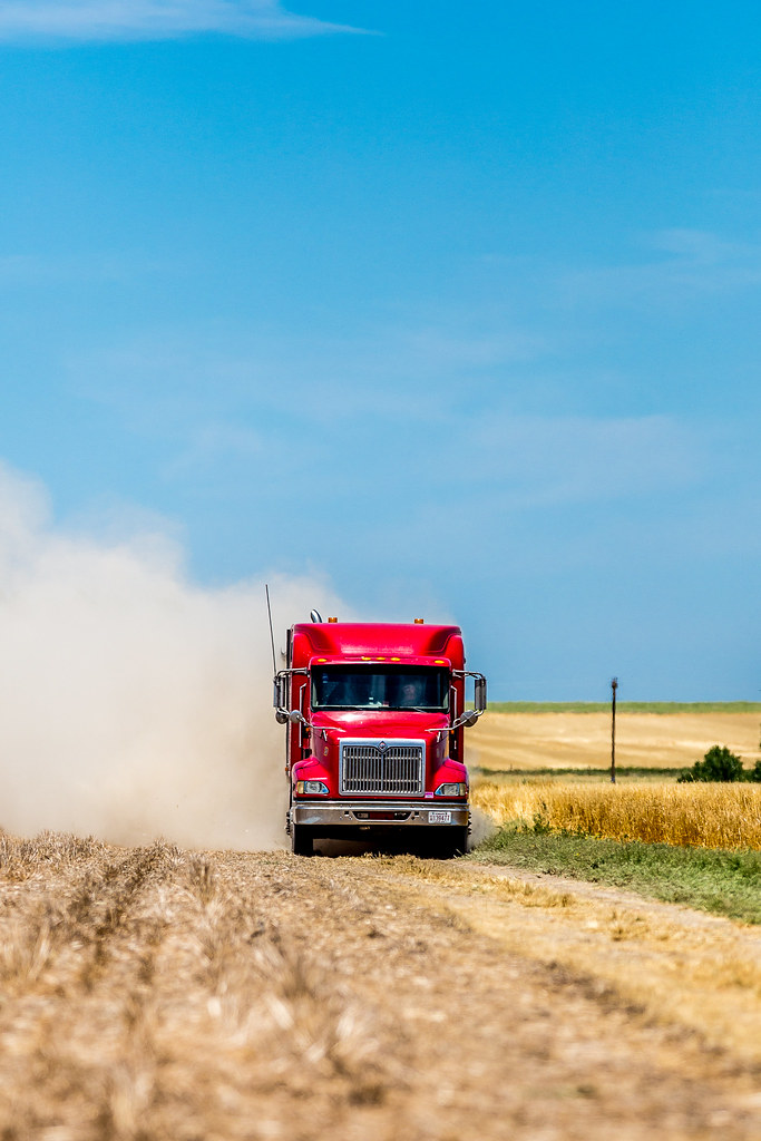 HPH-2016-Brush Monday (Laura)-5