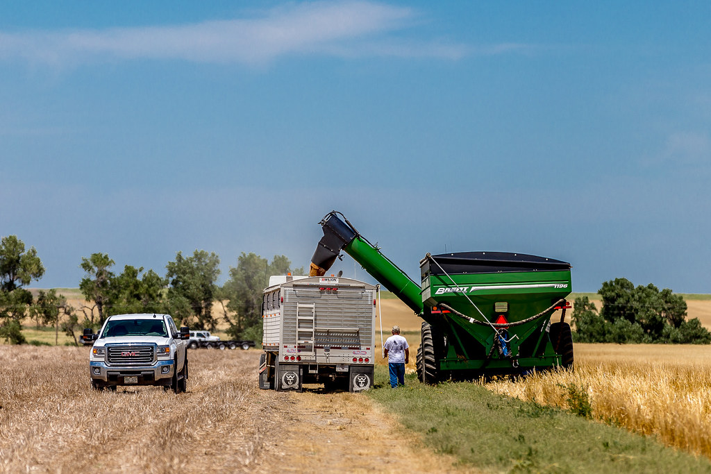 HPH-2016-Brush Monday (Laura)-6