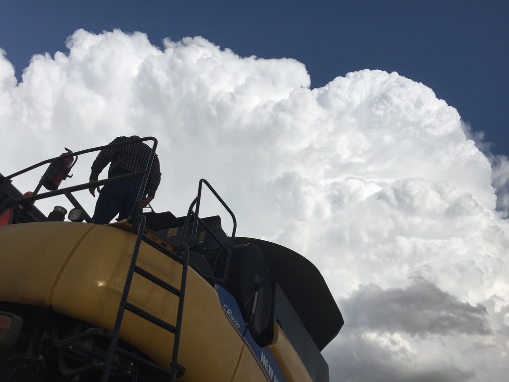 Z Crew: Because it's what harvesters do.