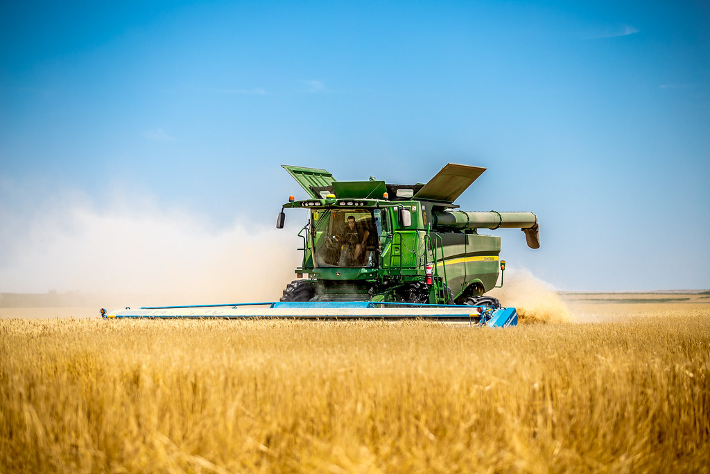 HPH-2016-Brush Monday (Laura)-8