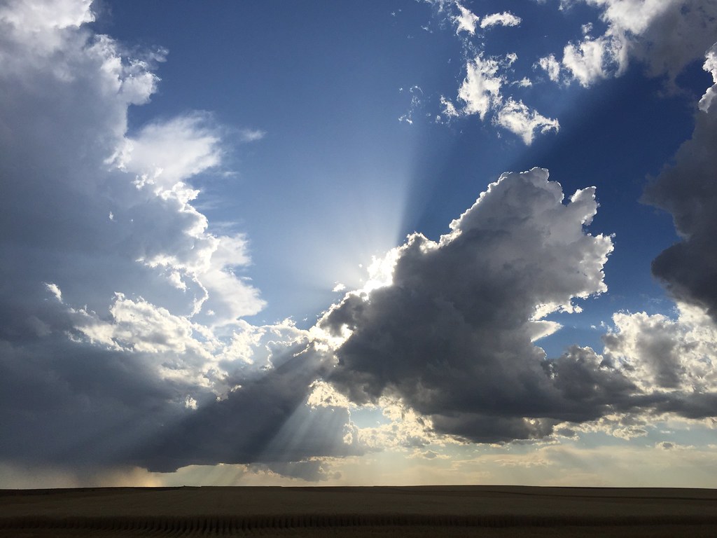 Z Crew: Because it's what harvesters do.