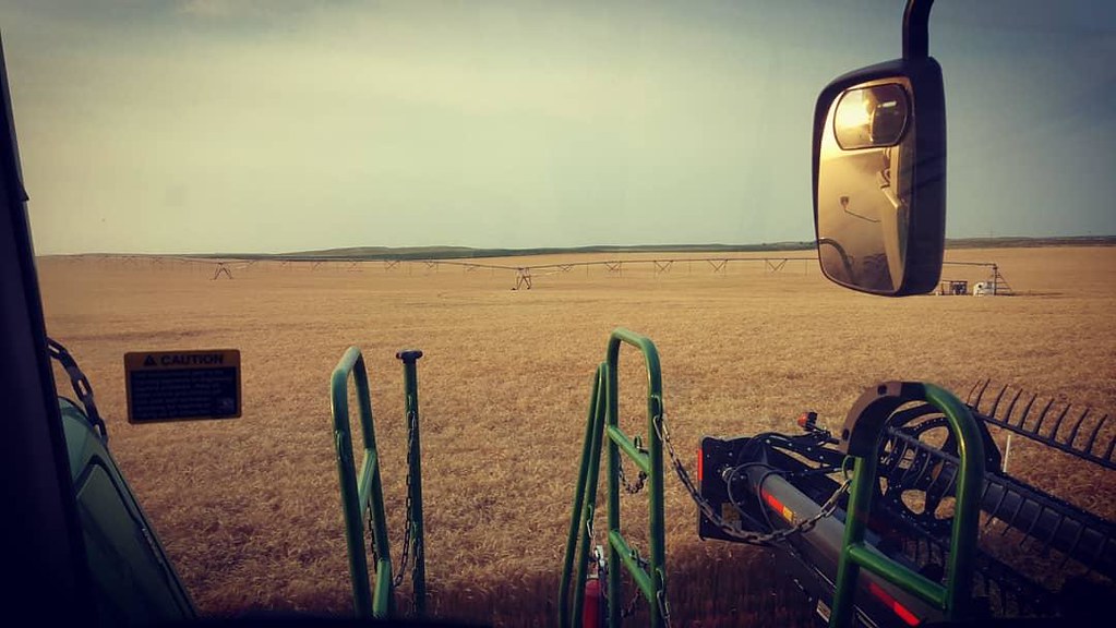 Schemper Harvesting 2018
