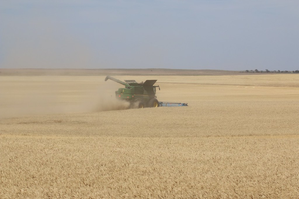 HPH-2016-Morgan County, Colorado