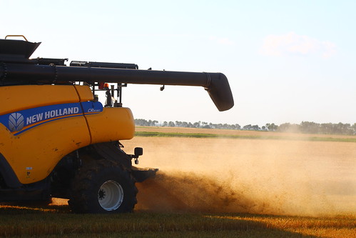 Dust! A rare sight these days.