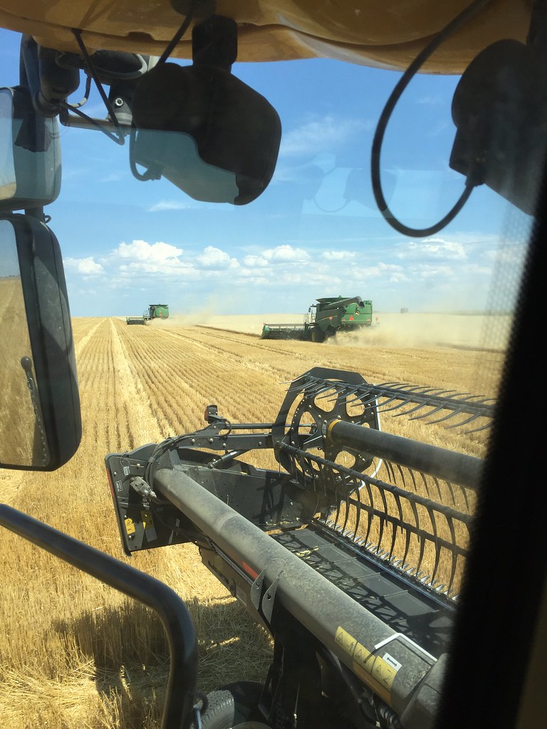 Z Crew: Because it's what harvesters do.