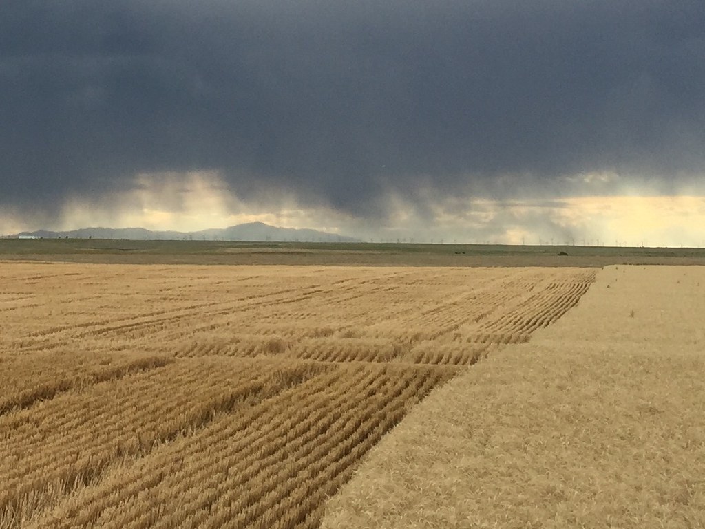 Z Crew: Because it's what harvesters do.