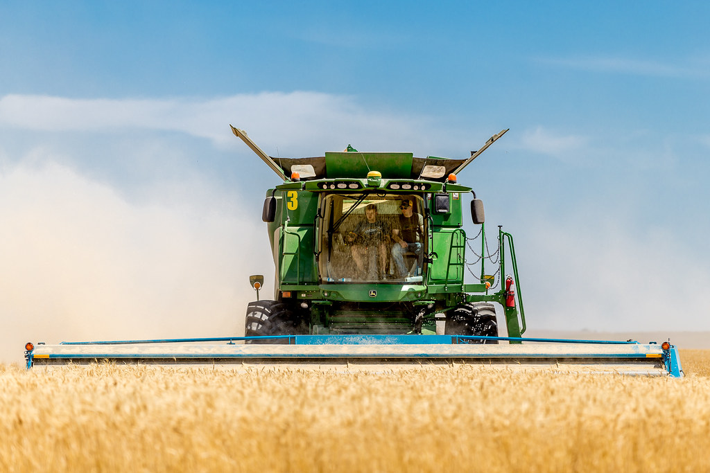 HPH-2016-Brush Monday (Laura)-4