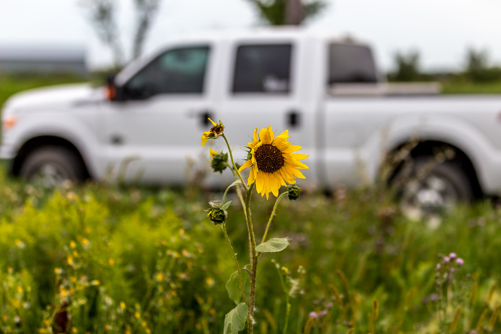 HPH-2016-North Dakota (Laura)