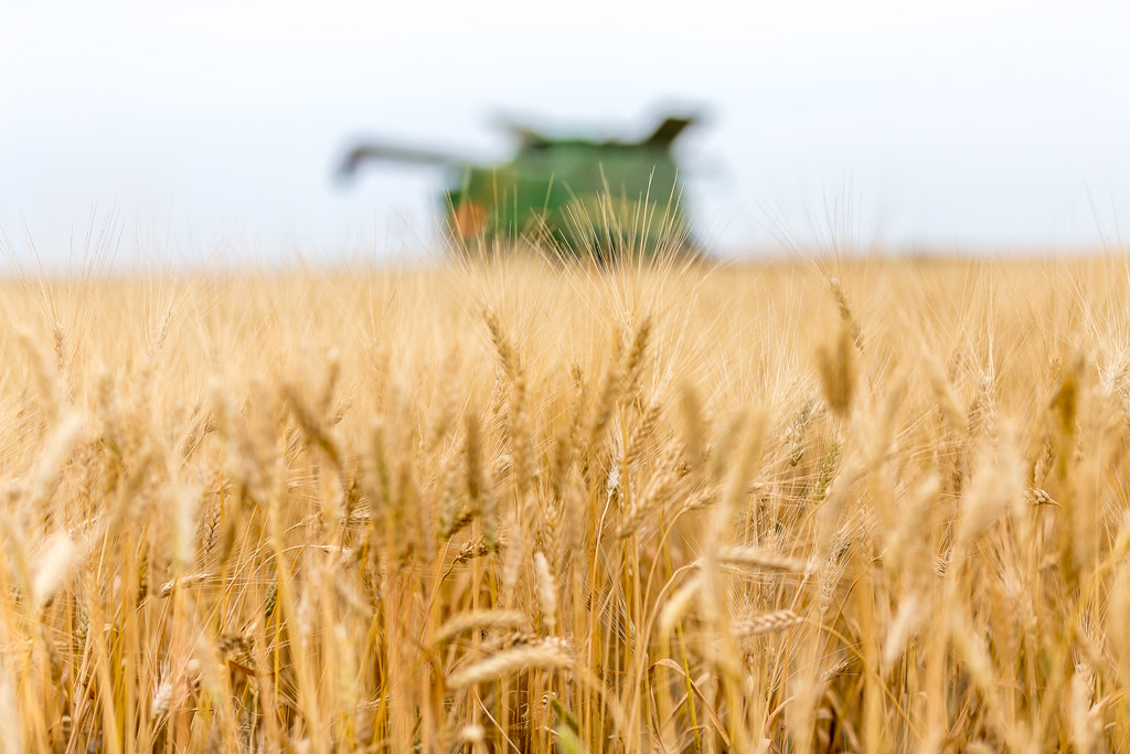 HPH-2016-North Dakota (Laura)