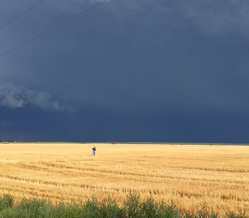 Z Crew: Because it's what harvesters do.