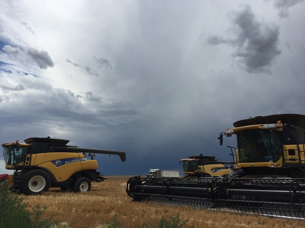 Z Crew: Because it's what harvesters do.