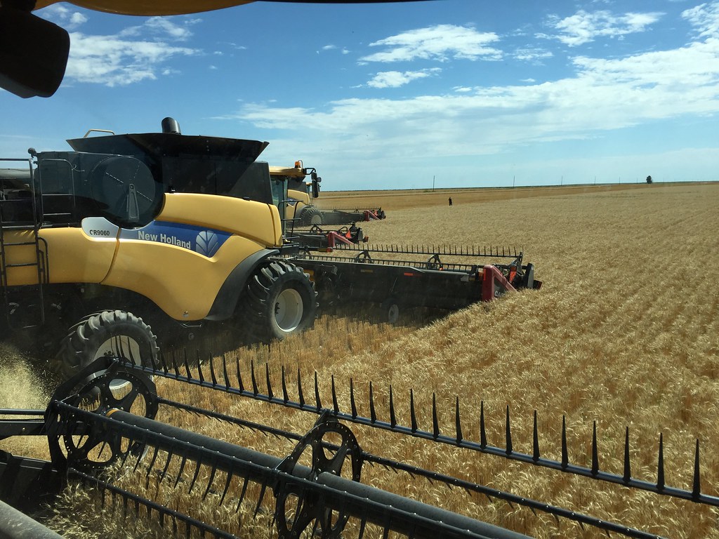 Z Crew: Because it's what harvesters do.