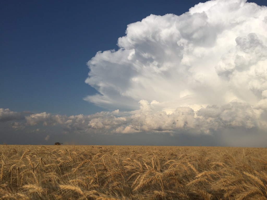 Z Crew: Because it's what harvesters do.