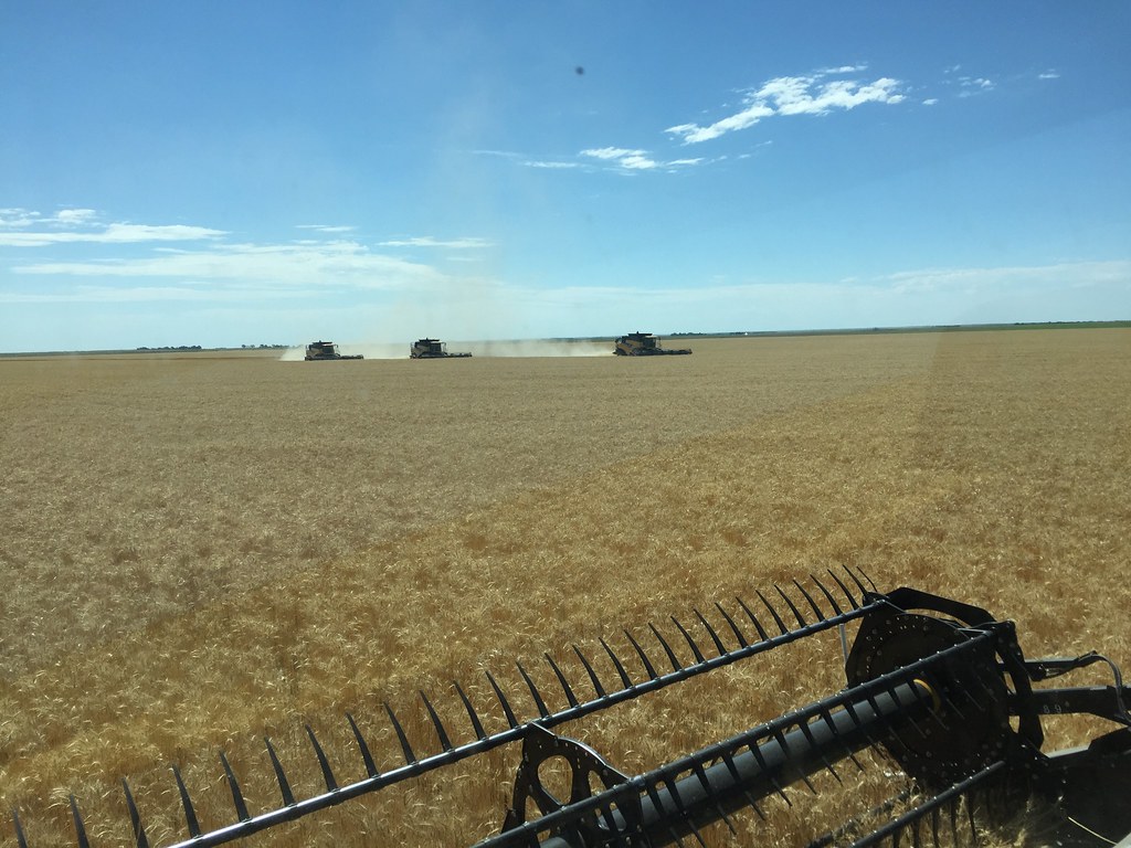 Z Crew: Because it's what harvesters do.