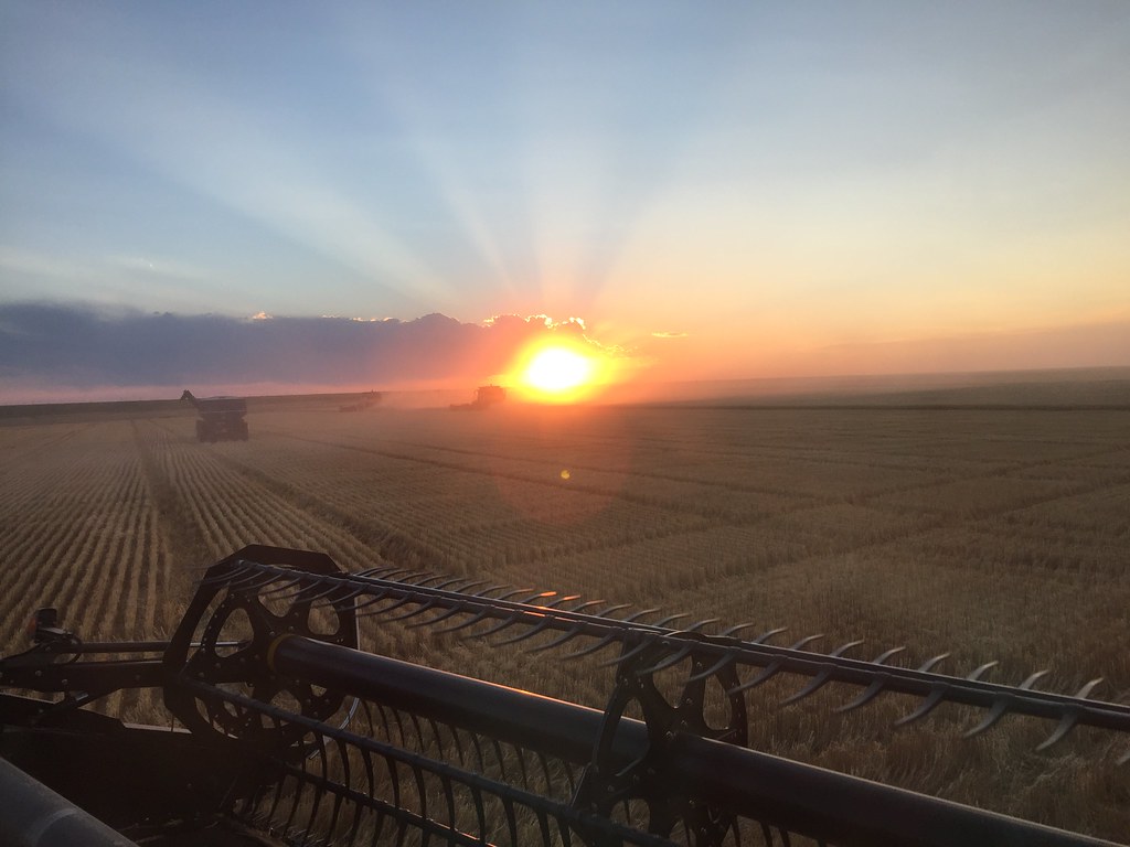 Z Crew: Because it's what harvesters do.