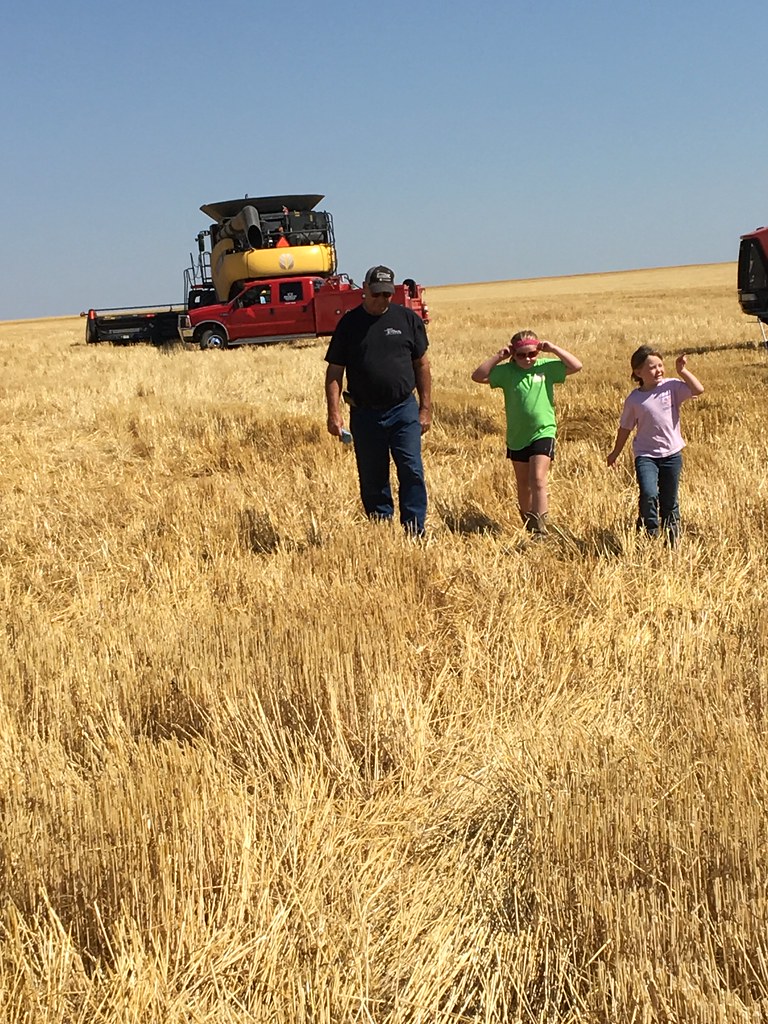 Z Crew: Because it's what harvesters do.